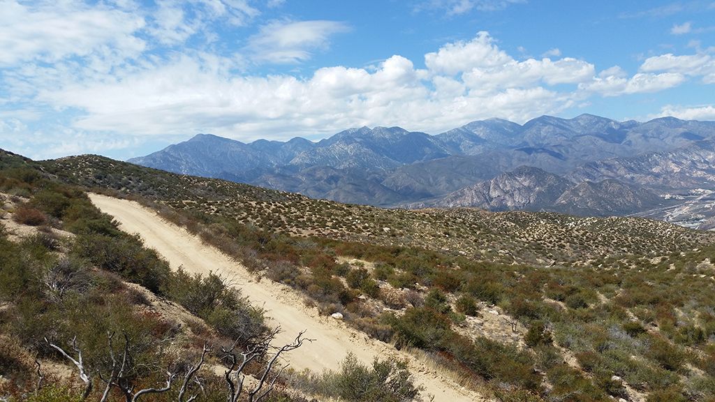 Cleghorn_9-6-15_01.jpg